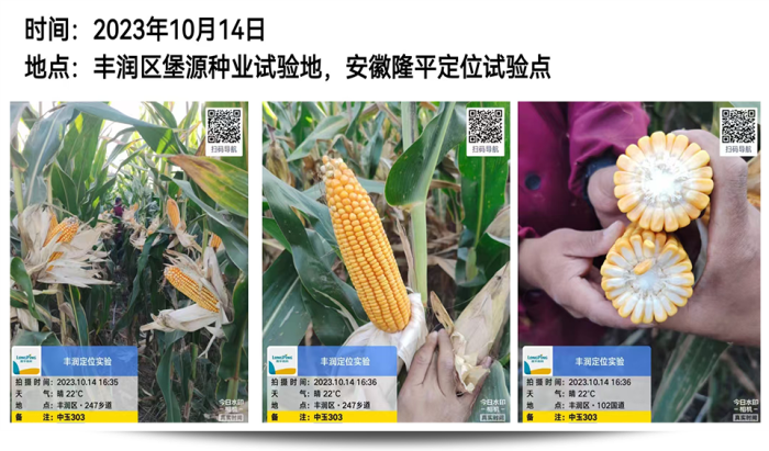 圖片62.png
